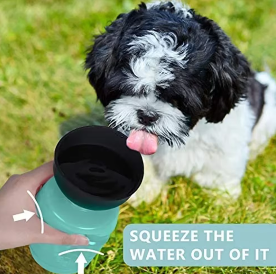 Creative Pet Water Bottle