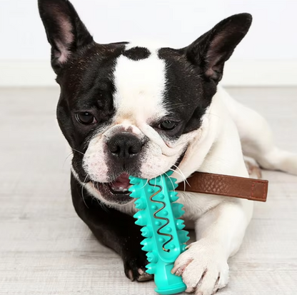 Dog Toy Chew Sticks