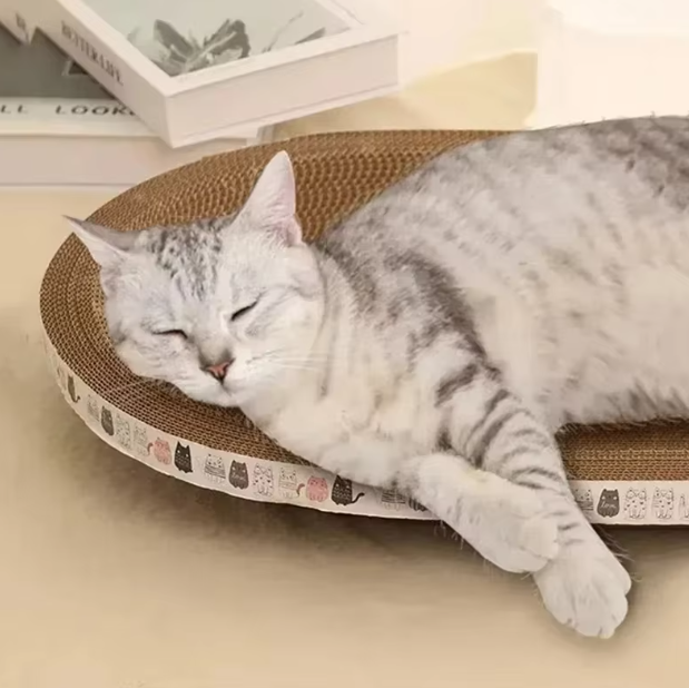 Cat Scratching Board Bowl